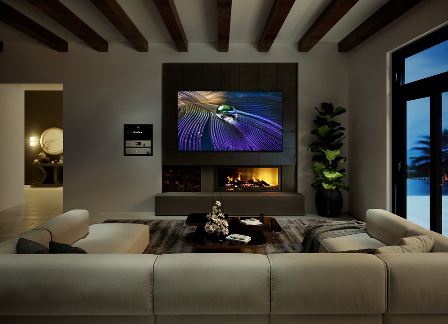 Controlling Home Entertainment with an Audio-Visual System  
