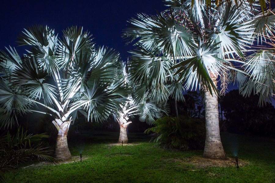 How Landscape Lighting Adds Distinct Value to Your Florida Home