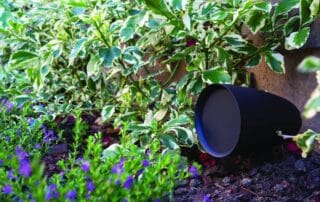 Outdoor Audio Installations West Palm Beach
