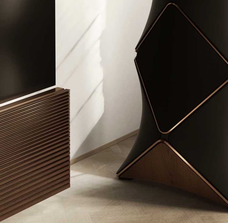 Bang & Olufsen architectural speakers