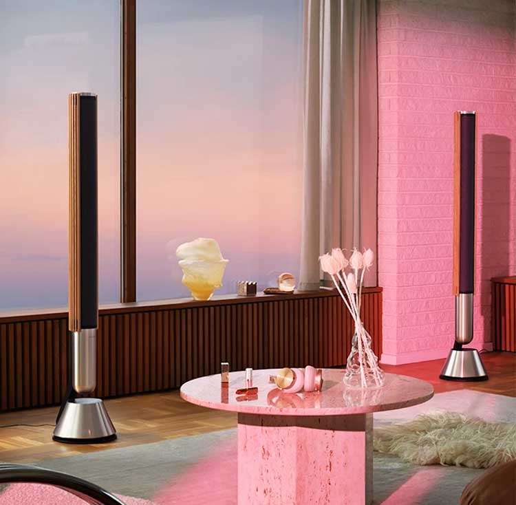 Bang & Olufsen high-performance speakers