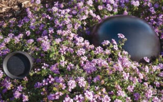 Do I Need a Subwoofer?