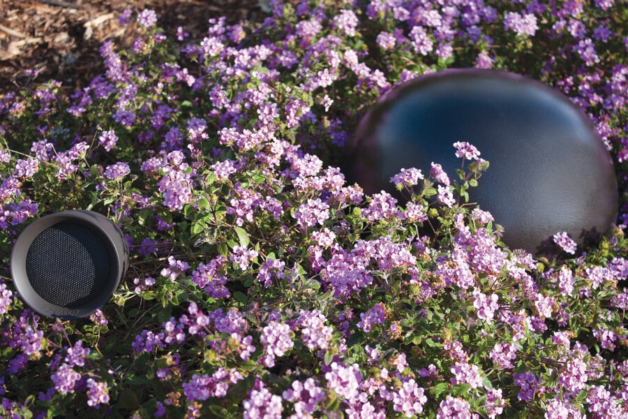 Do I Need a Subwoofer?