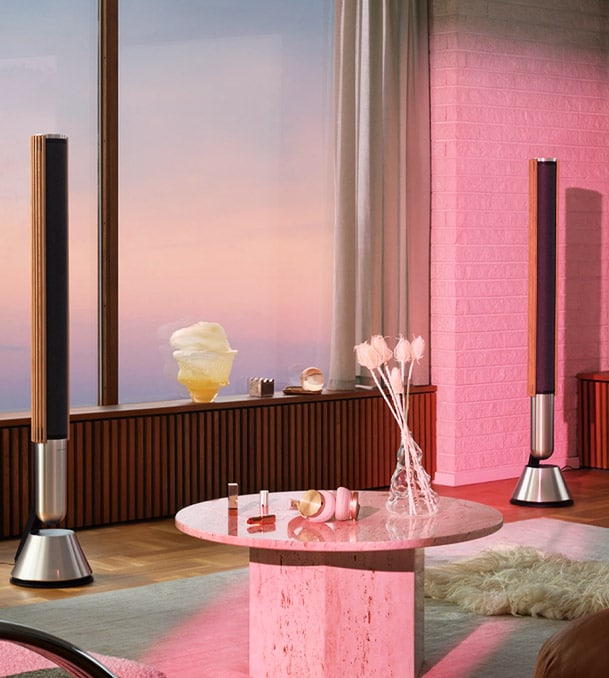 Beolab 28 Wireless Speakers by Bang & Olufsen