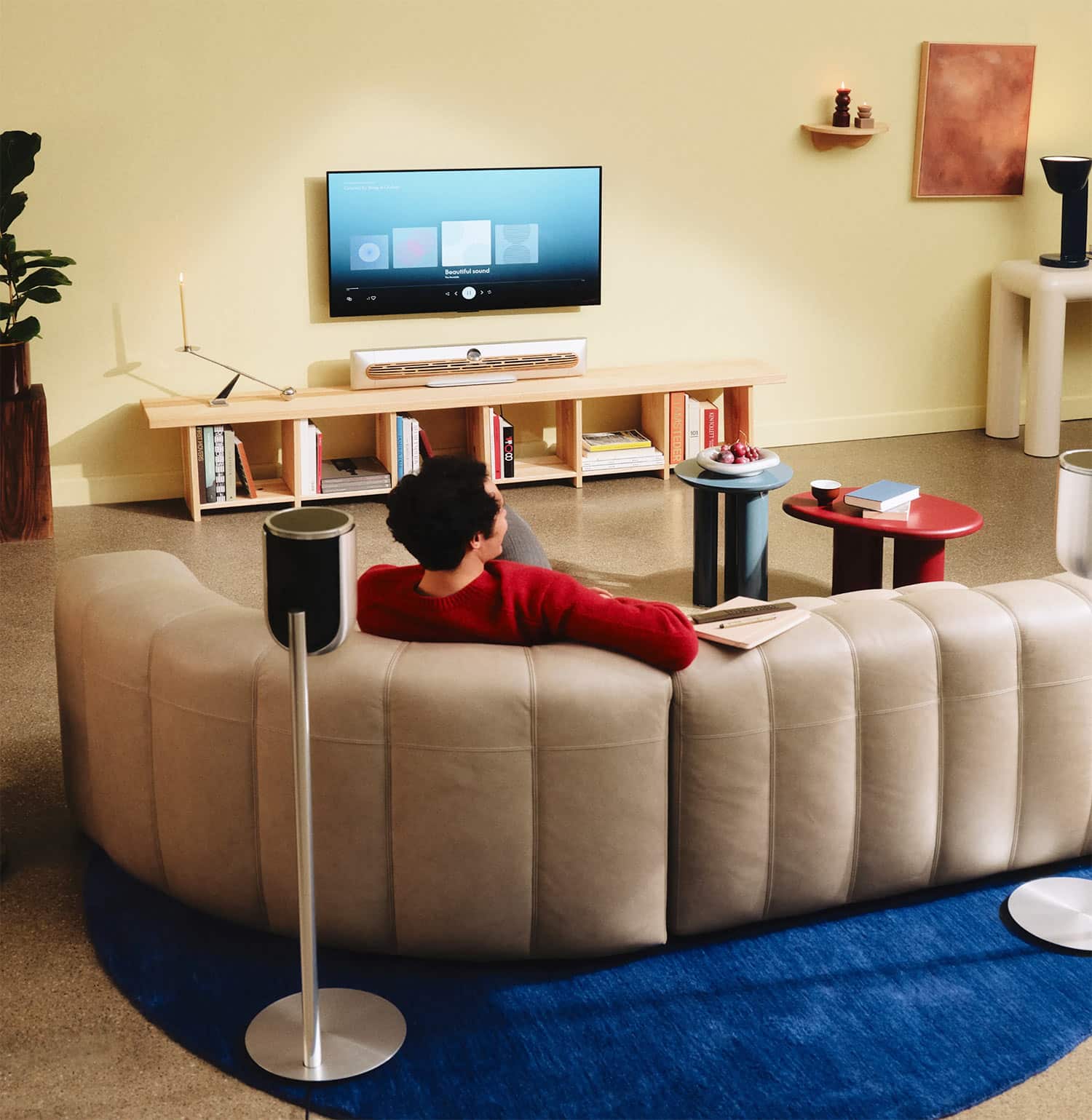 Install Bang Olufsen Florida home