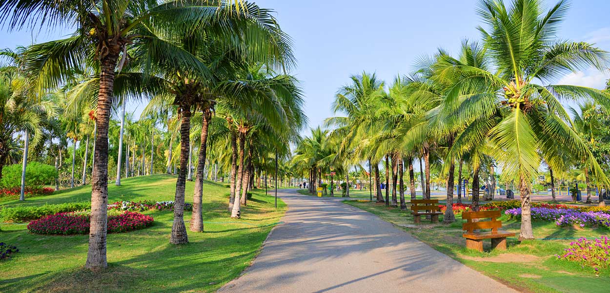Smart Home Automation Company Palm Beach Gardens